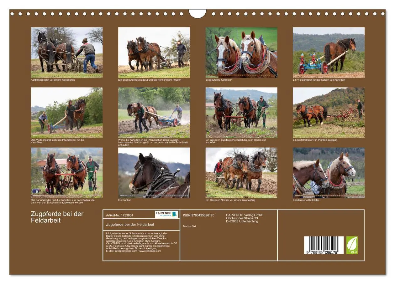 Bild: 9783435096176 | Zugpferde bei der Feldarbeit (Wandkalender 2025 DIN A3 quer),...