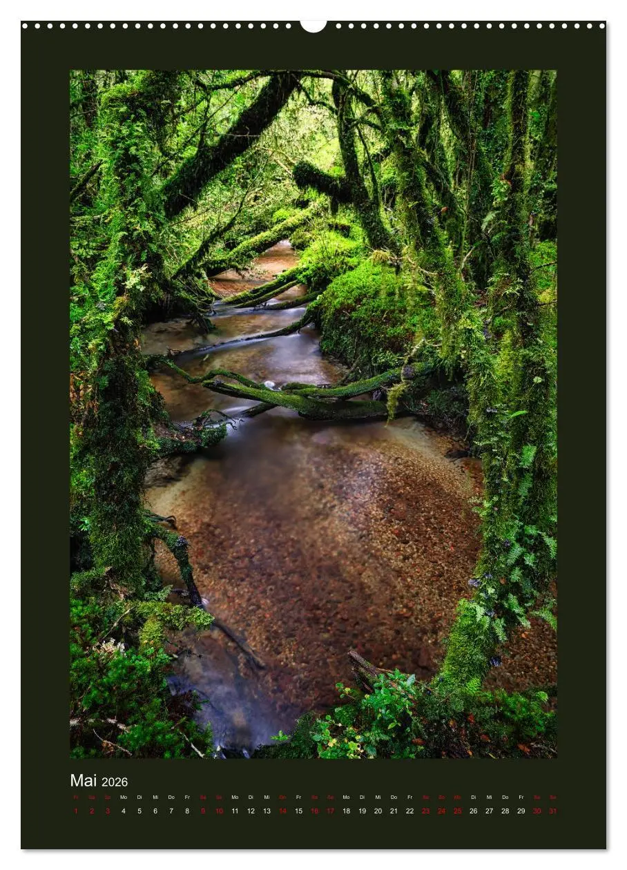 Bild: 9783516416176 | Patagonien: Sehnsuchtsziel am Ende der Welt (hochwertiger Premium...