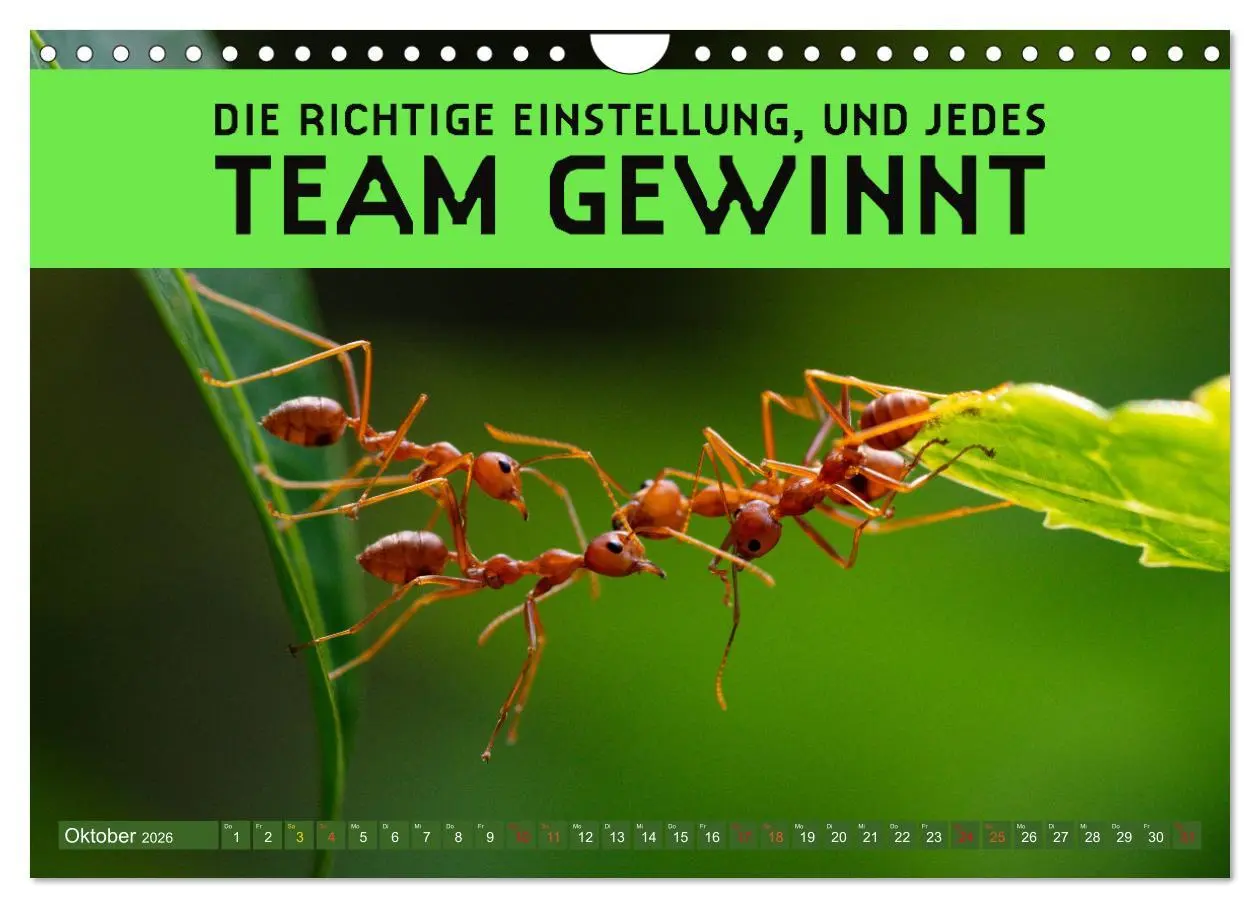 Bild: 9783457246276 | Gemeinsam sind wir stark - motivierende Sprüche über Teams...