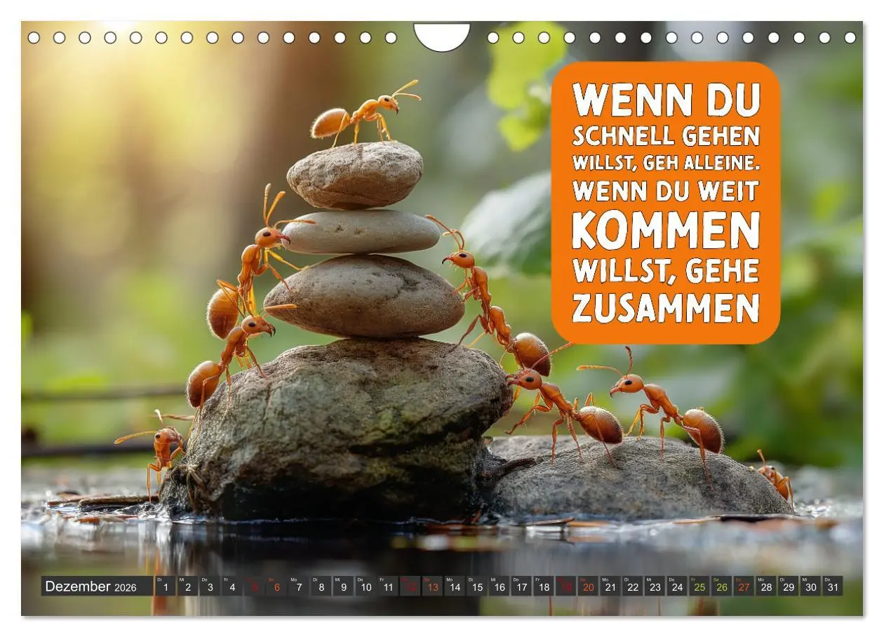 Bild: 9783457246276 | Gemeinsam sind wir stark - motivierende Sprüche über Teams...