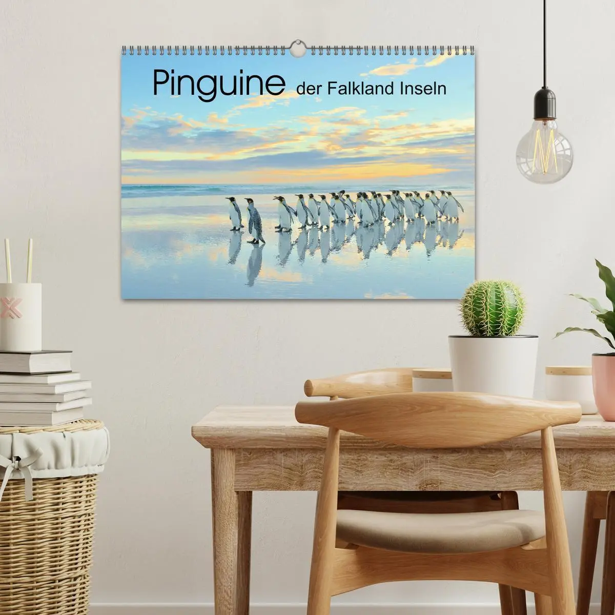 Bild: 9783457796276 | Pinguine der Falkland Inseln (Wandkalender 2026 DIN A3 quer),...