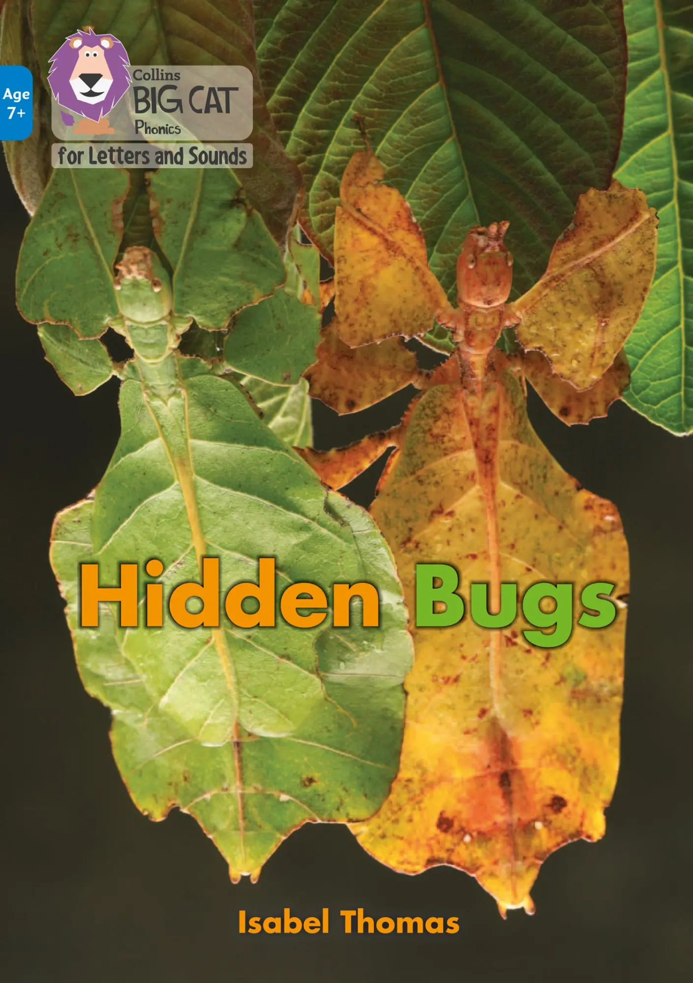 Cover: 9780008446376 | Hidden Bugs | Band 04/Blue | Isabel Thomas | Taschenbuch | Englisch