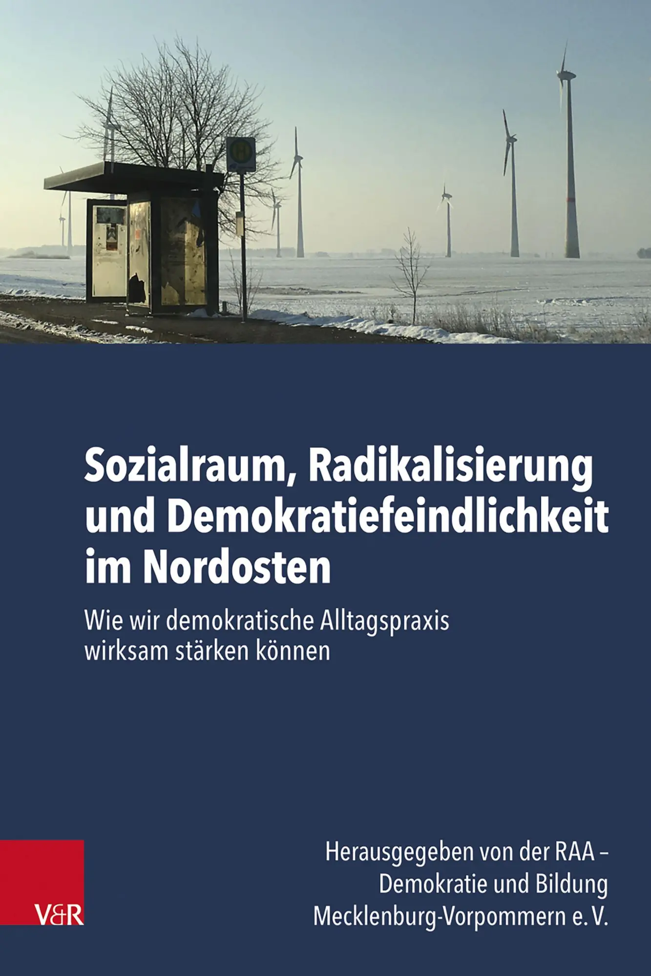 Cover: 9783525616376 | Sozialraum, Radikalisierung und Demokratiefeindlichkeit im Nordosten
