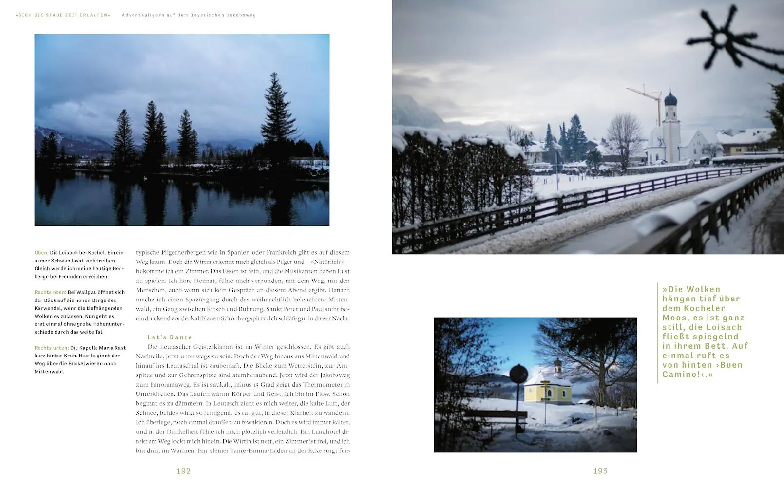 Bild: 9783957286376 | Hoch und heilig | Pilgern in den Alpen | Sandra Freudenberg | Buch