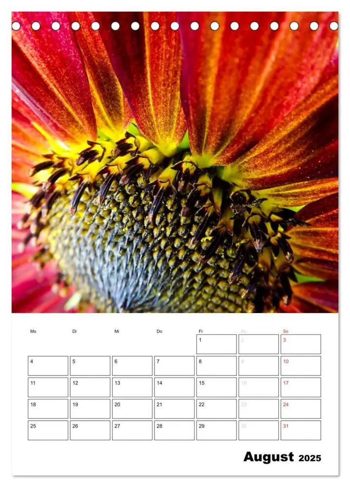 Bild: 9783435996476 | Strahlende Sonnenblumen (Tischkalender 2025 DIN A5 hoch), CALVENDO...