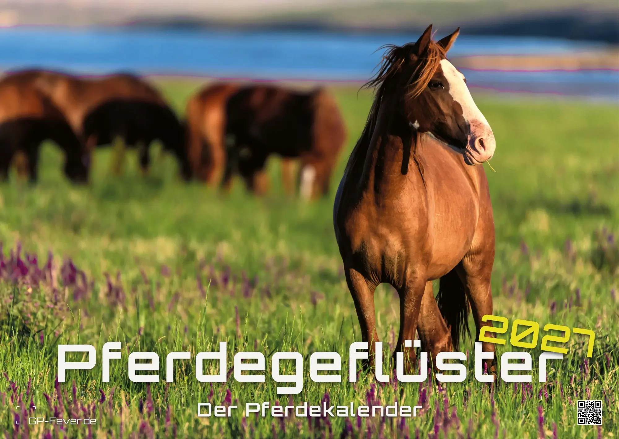 Cover: 9783986736576 | Pferdegeflüster - Der Pferdekalender - 2027 - Kalender DIN A3 | de
