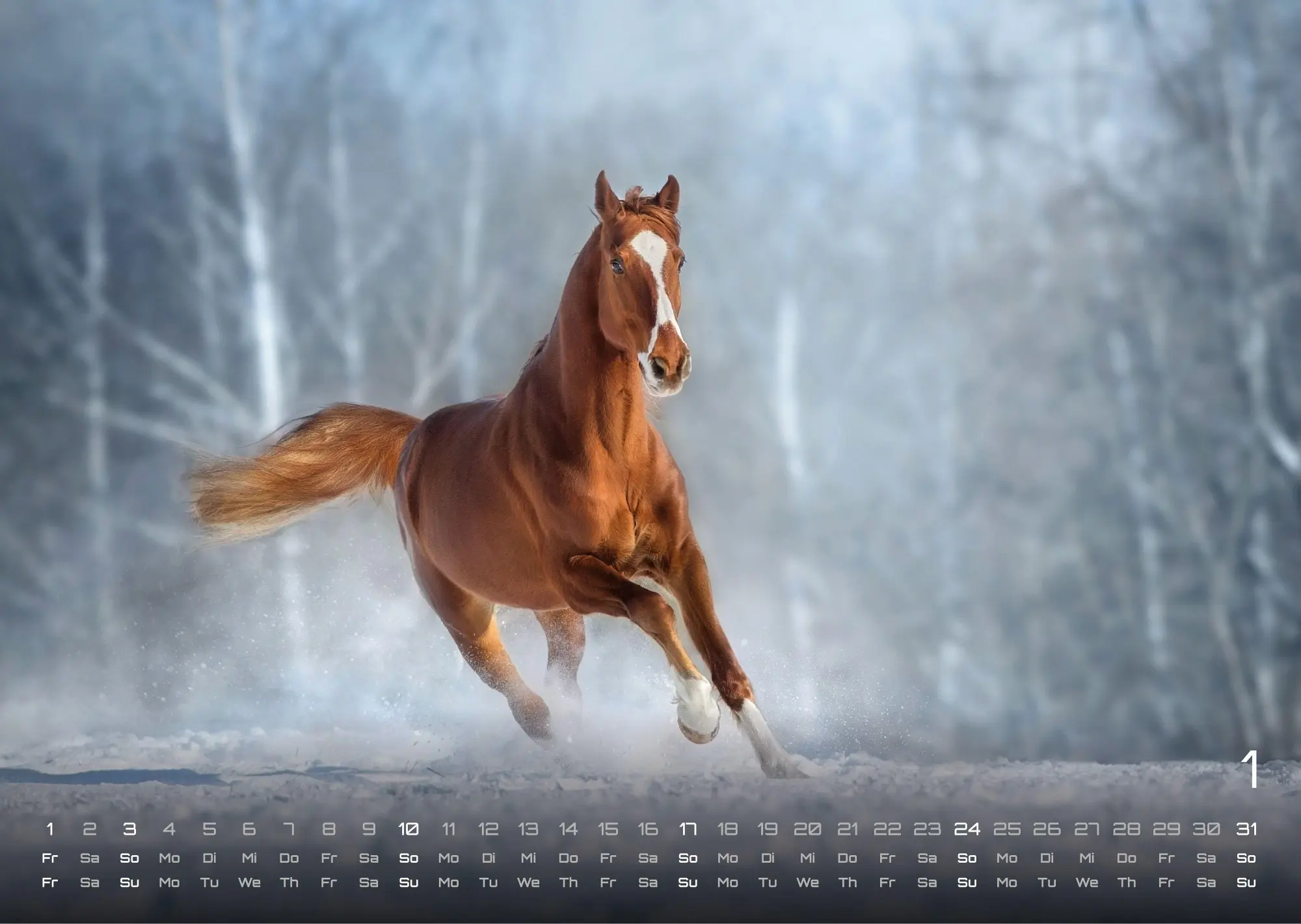 Bild: 9783986736576 | Pferdegeflüster - Der Pferdekalender - 2027 - Kalender DIN A3 | de