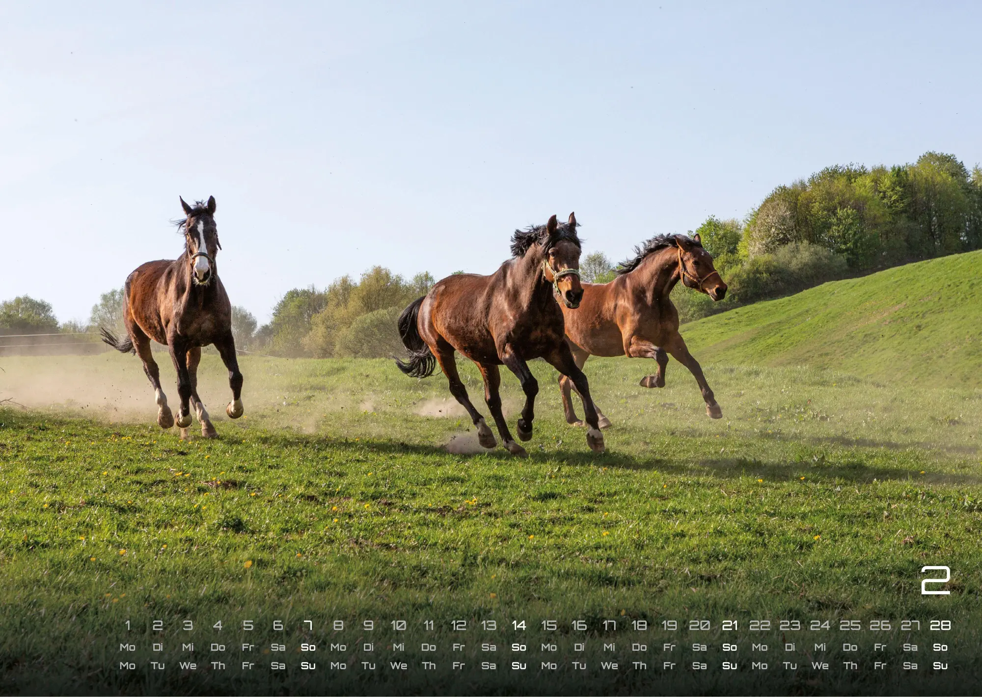 Bild: 9783986736576 | Pferdegeflüster - Der Pferdekalender - 2027 - Kalender DIN A3 | de