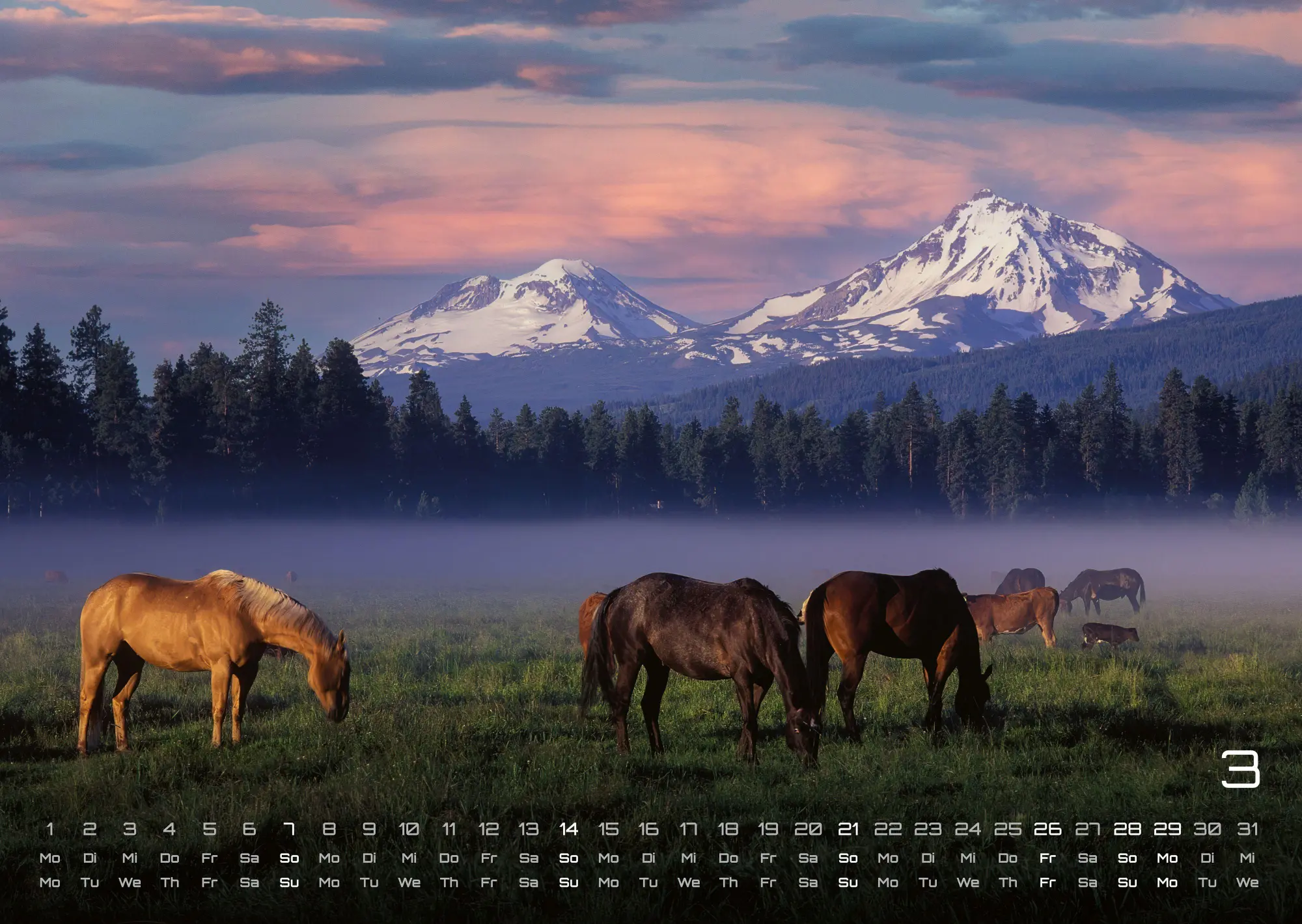 Bild: 9783986736576 | Pferdegeflüster - Der Pferdekalender - 2027 - Kalender DIN A3 | de