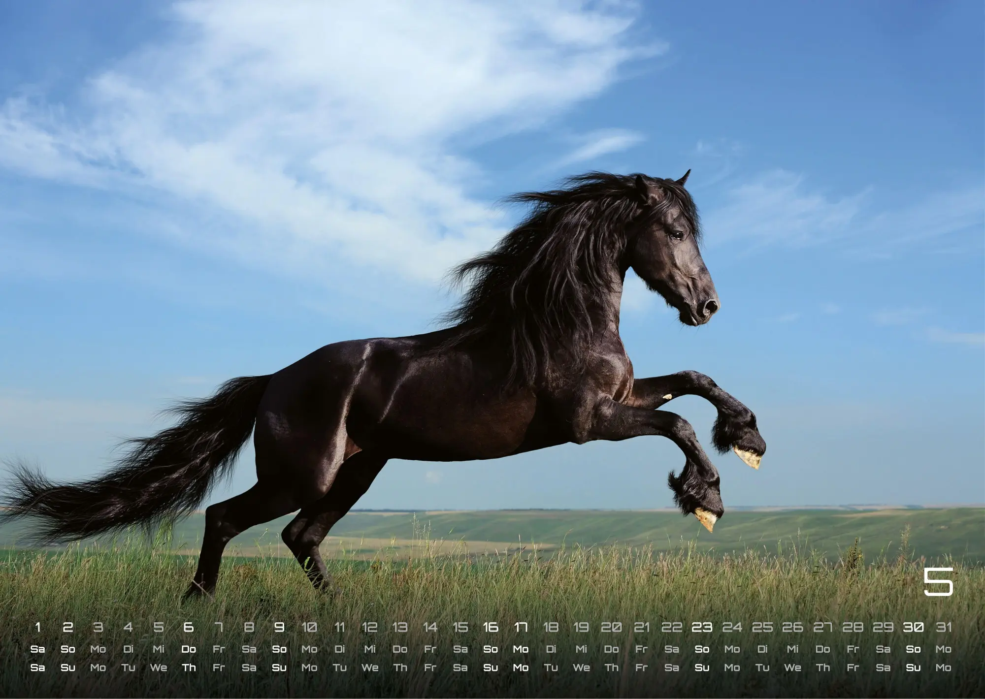 Bild: 9783986736576 | Pferdegeflüster - Der Pferdekalender - 2027 - Kalender DIN A3 | de