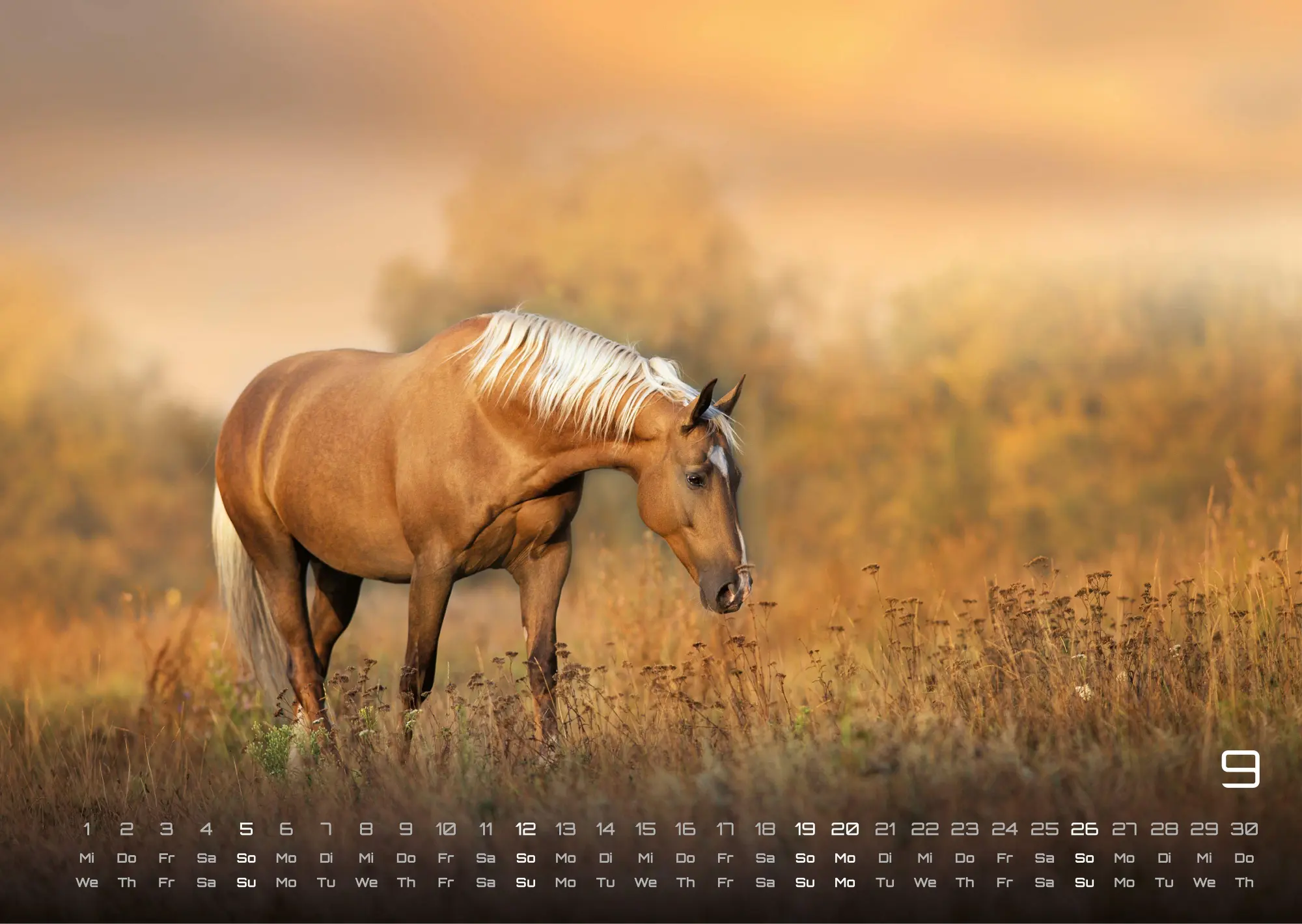 Bild: 9783986736576 | Pferdegeflüster - Der Pferdekalender - 2027 - Kalender DIN A3 | de
