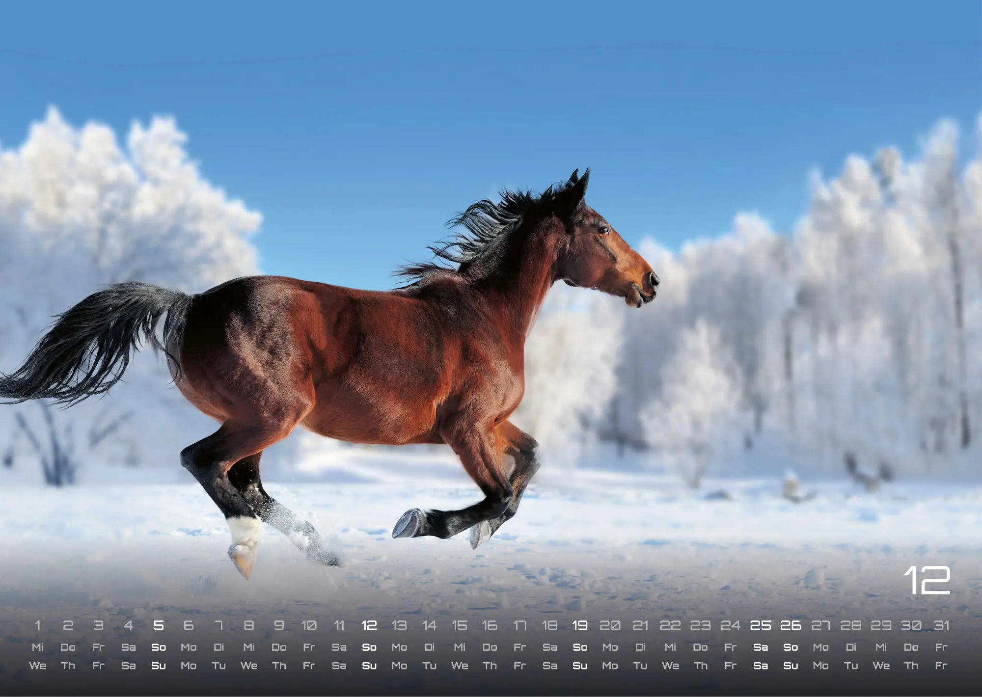 Bild: 9783986736576 | Pferdegeflüster - Der Pferdekalender - 2027 - Kalender DIN A3 | de