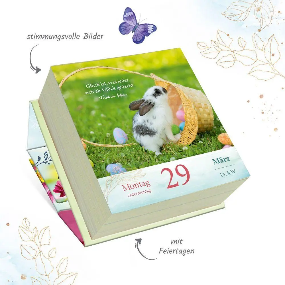 Bild: 9783988026576 | TRÖTSCH - Geschenkkalender Abreißkalender Sonnige Tage 2027 | KG