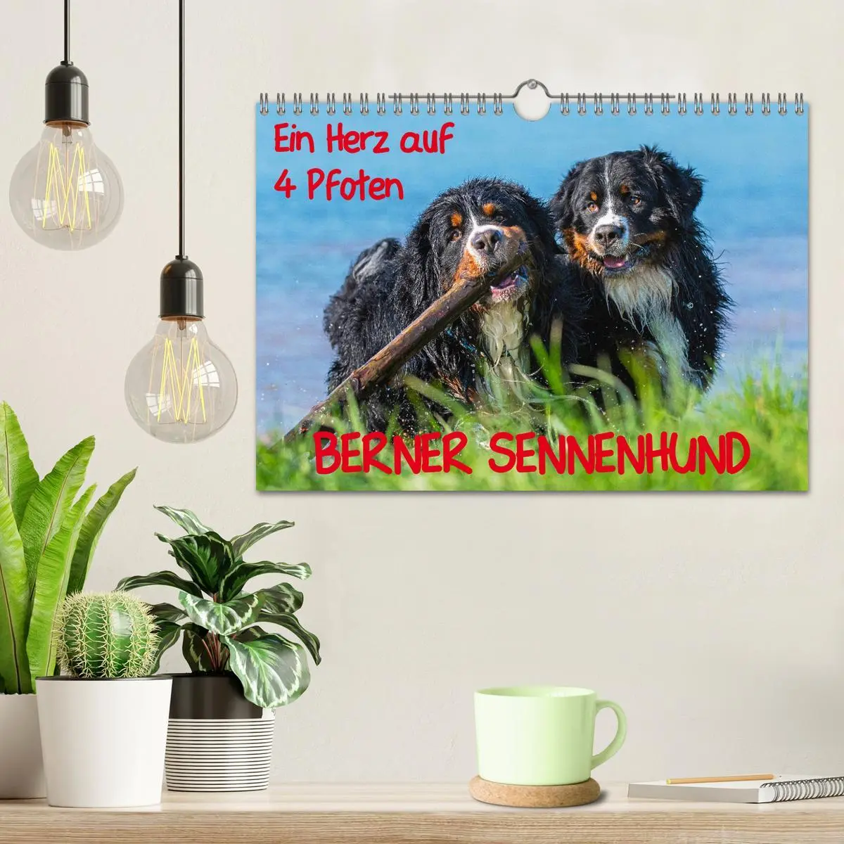 Bild: 9783457826676 | Ein Herz auf 4 Pfoten - Berner Sennenhund (Wandkalender 2026 DIN A4...