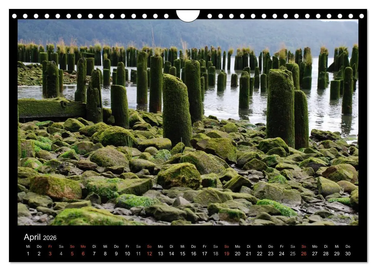 Bild: 9783516146776 | USA - Nordwesten (Wandkalender 2026 DIN A4 quer), CALVENDO...