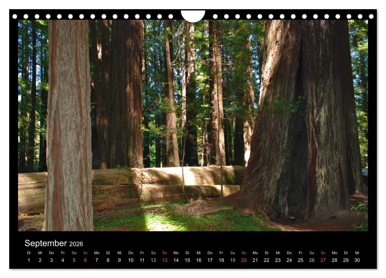 Bild: 9783516146776 | USA - Nordwesten (Wandkalender 2026 DIN A4 quer), CALVENDO...