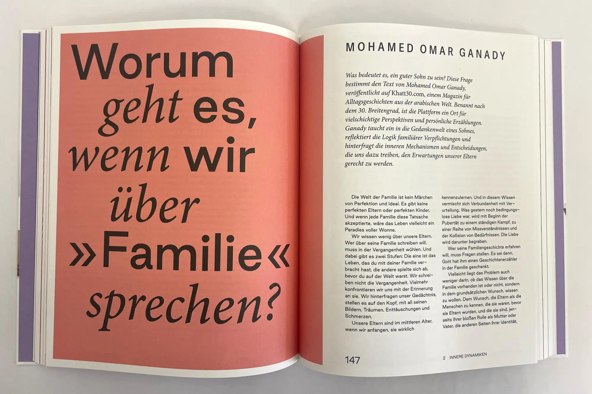 Bild: 9783777446776 | Beziehungsweise Familie | Laura Goldenbaum (u. a.) | Buch | 296 S.