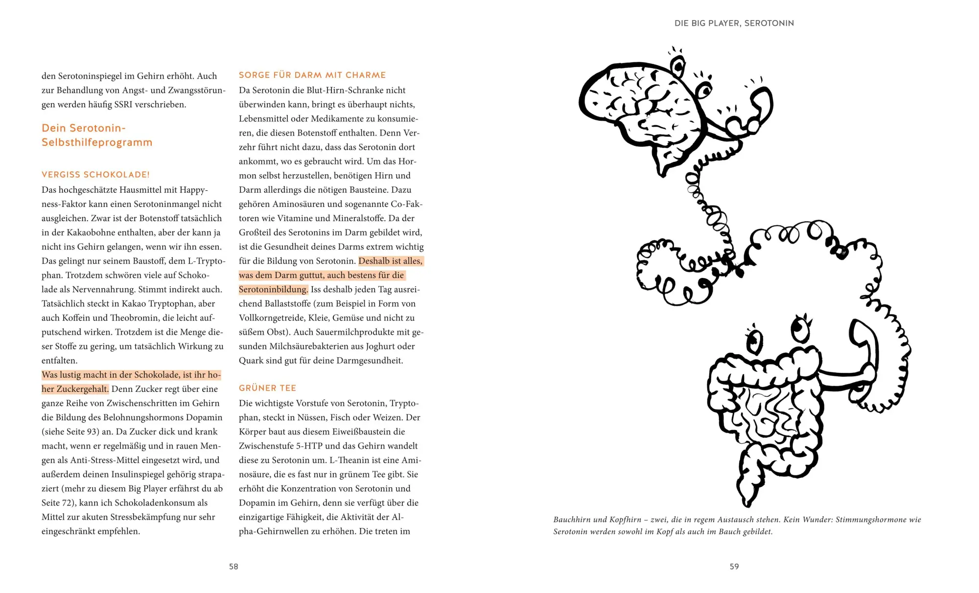 Bild: 9783833866876 | Meine Hormone - Bin ich ferngesteuert? | Johannes Wimmer | Taschenbuch