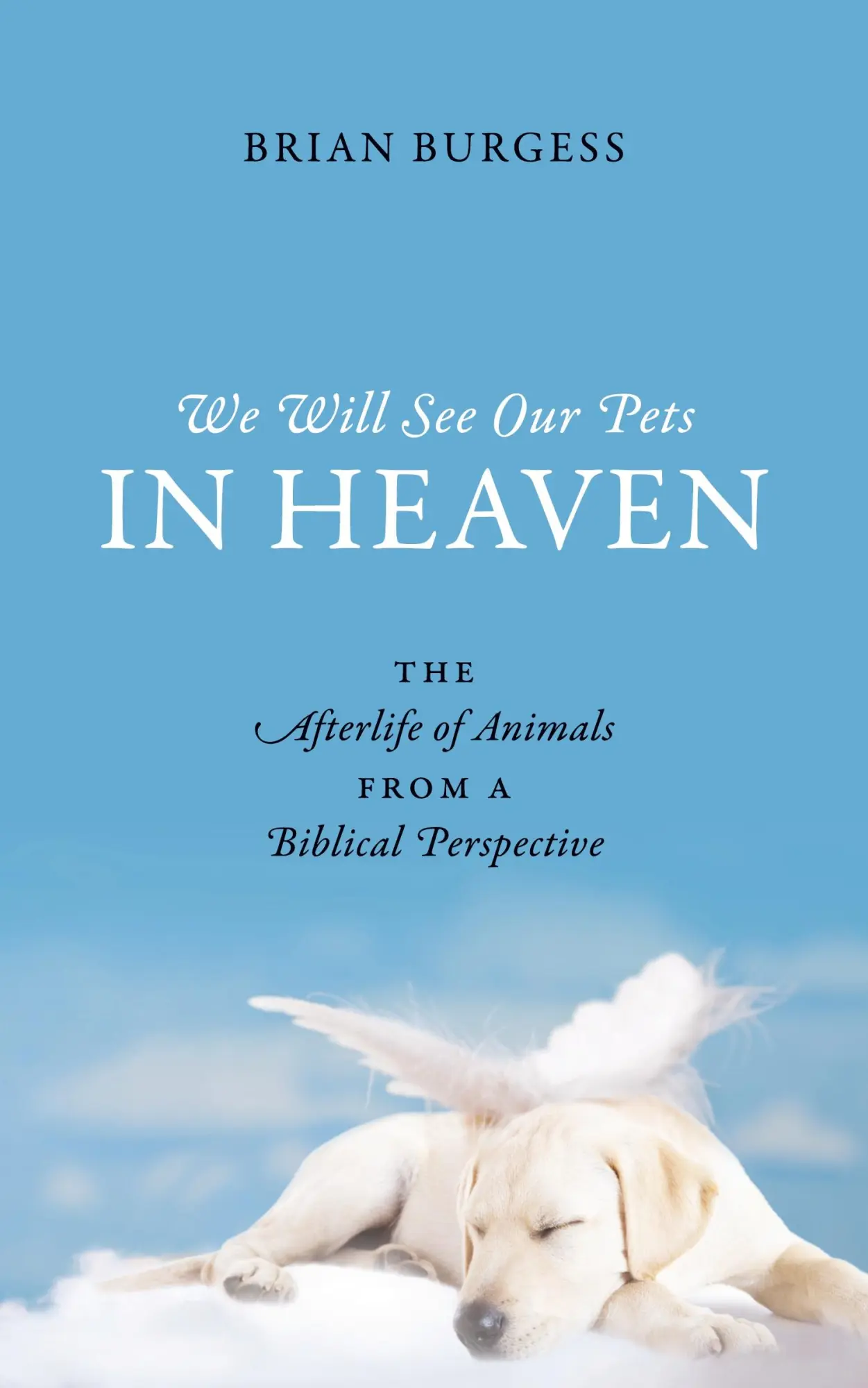 Cover: 9781478716976 | We Will See Our Pets in Heaven | Brian Burgess | Taschenbuch | 2013