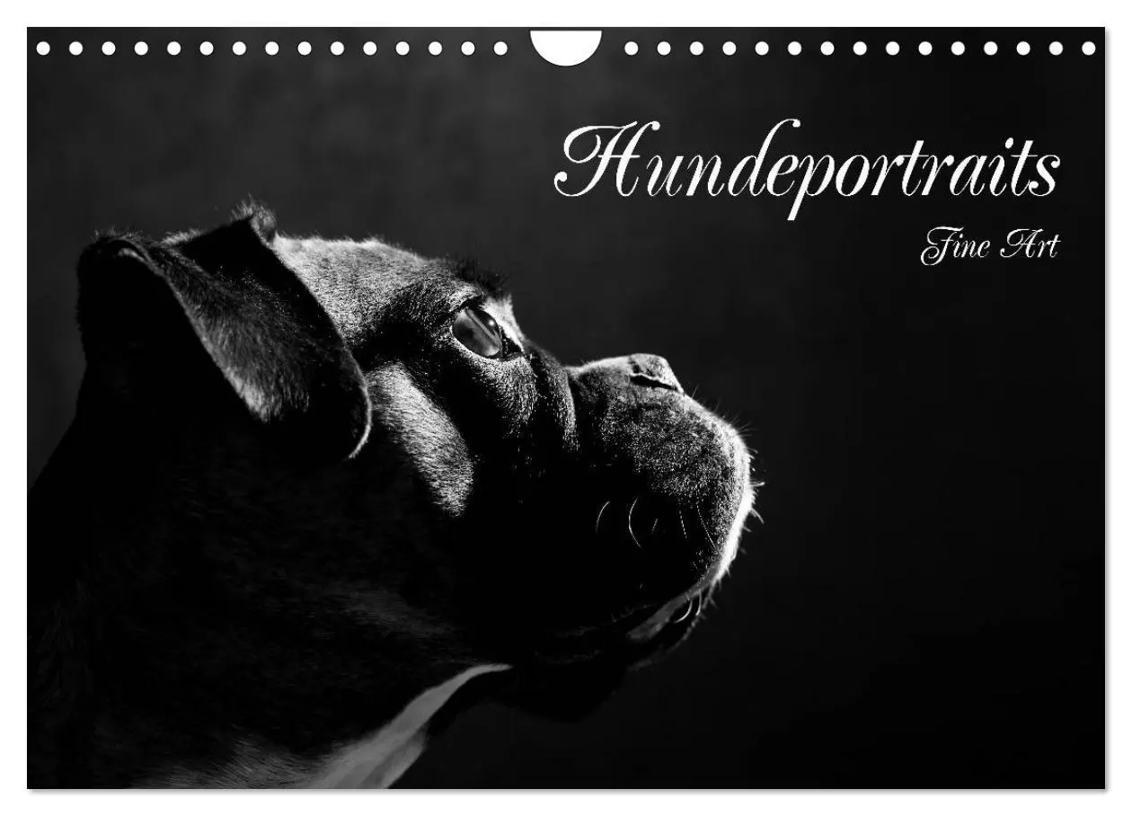Cover: 9783457896976 | Hundeportraits Fine Art (Wandkalender 2026 DIN A4 quer), CALVENDO...