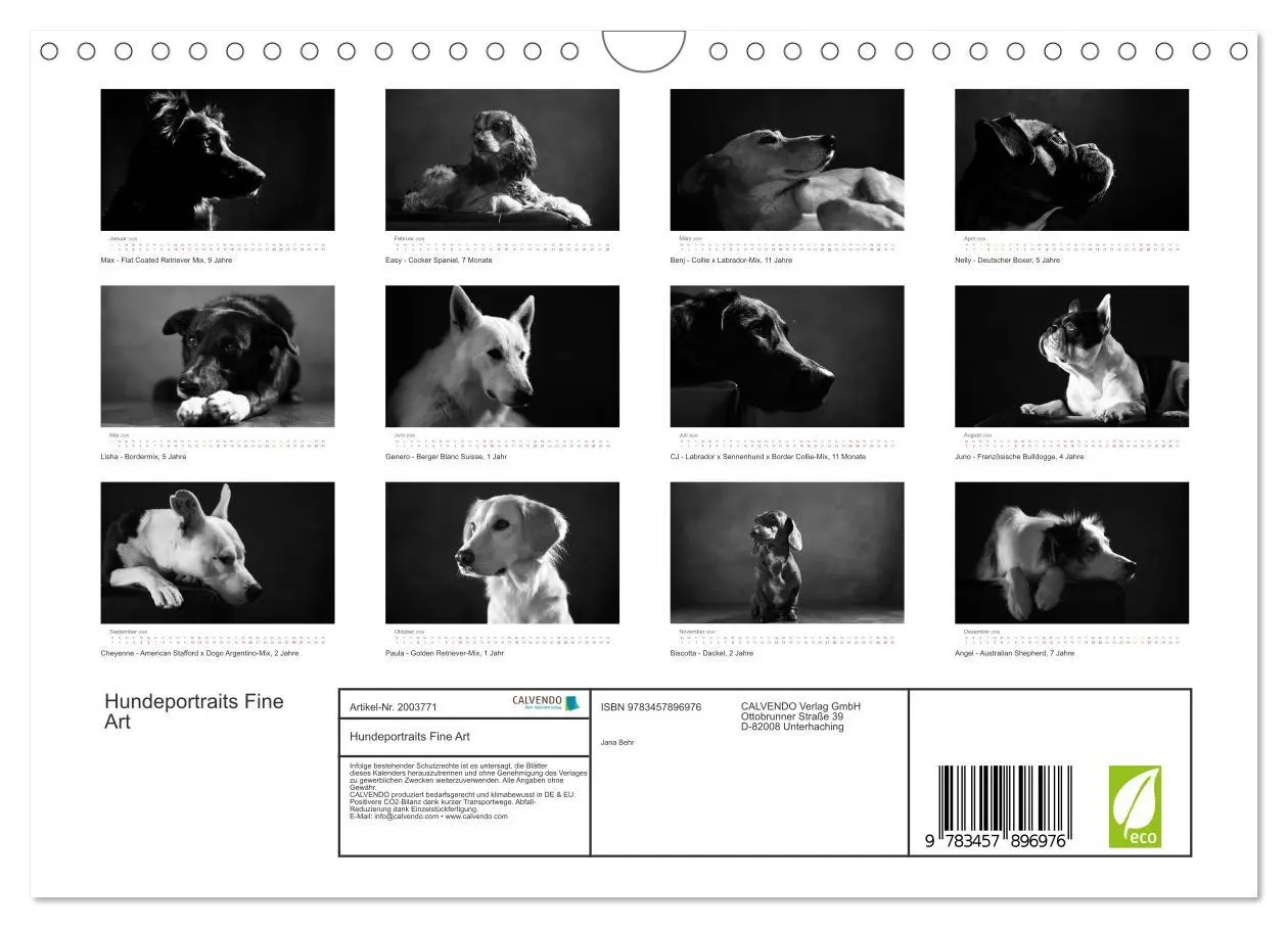 Bild: 9783457896976 | Hundeportraits Fine Art (Wandkalender 2026 DIN A4 quer), CALVENDO...