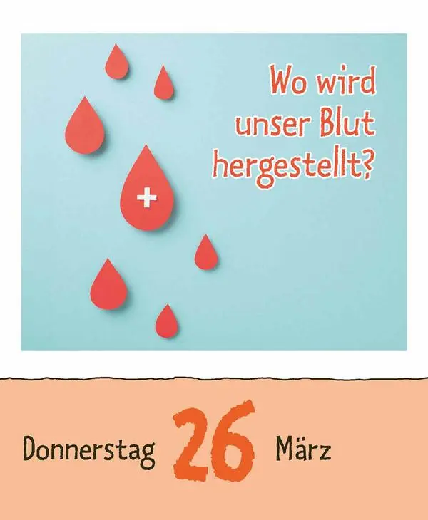 Bild: 9783731886976 | Warum wackelt Wackelpudding? 2026 | Verlag Korsch | Kalender | 328 S.