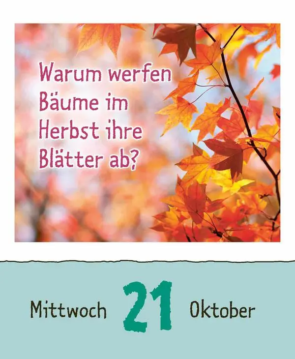 Bild: 9783731886976 | Warum wackelt Wackelpudding? 2026 | Verlag Korsch | Kalender | 328 S.