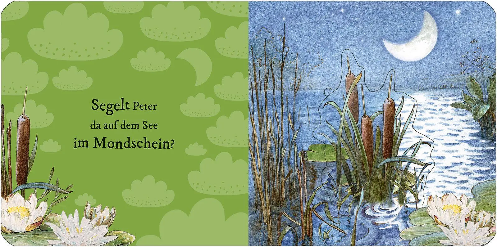 Bild: 9783737376976 | Die Welt von Peter Hase Träum schön, Peter Hase | Beatrix Potter