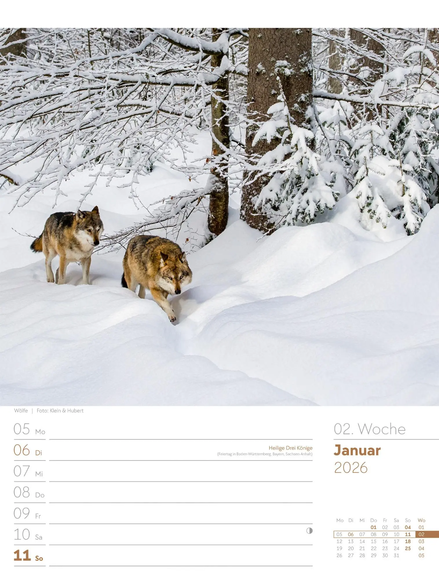 Bild: 9783838426976 | Unser Wald - Wochenplaner Kalender 2026 | Ackermann Kunstverlag GmbH
