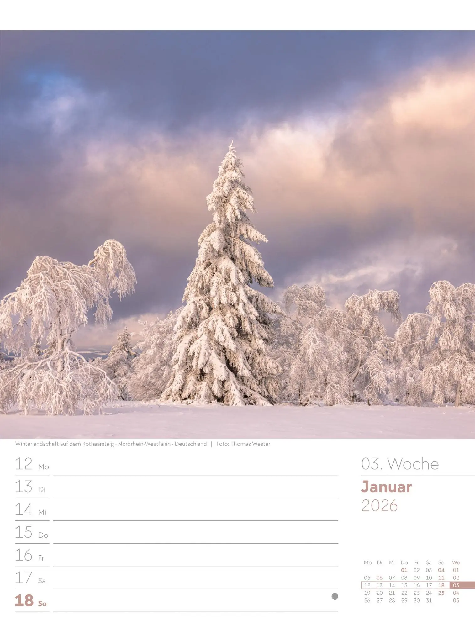 Bild: 9783838426976 | Unser Wald - Wochenplaner Kalender 2026 | Ackermann Kunstverlag GmbH