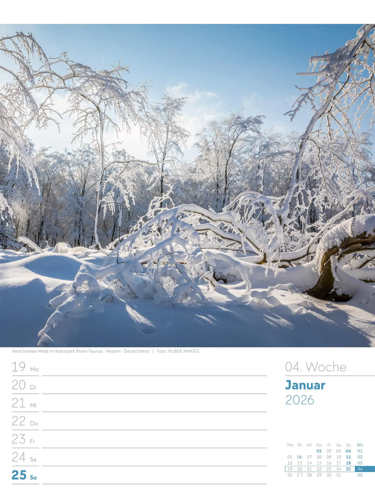 Bild: 9783838426976 | Unser Wald - Wochenplaner Kalender 2026 | Ackermann Kunstverlag GmbH