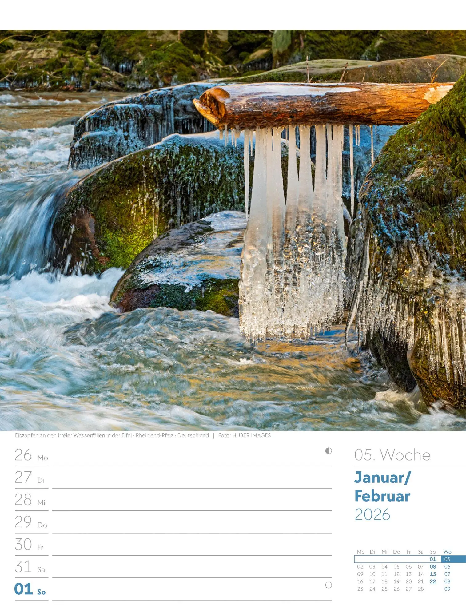 Bild: 9783838426976 | Unser Wald - Wochenplaner Kalender 2026 | Ackermann Kunstverlag GmbH