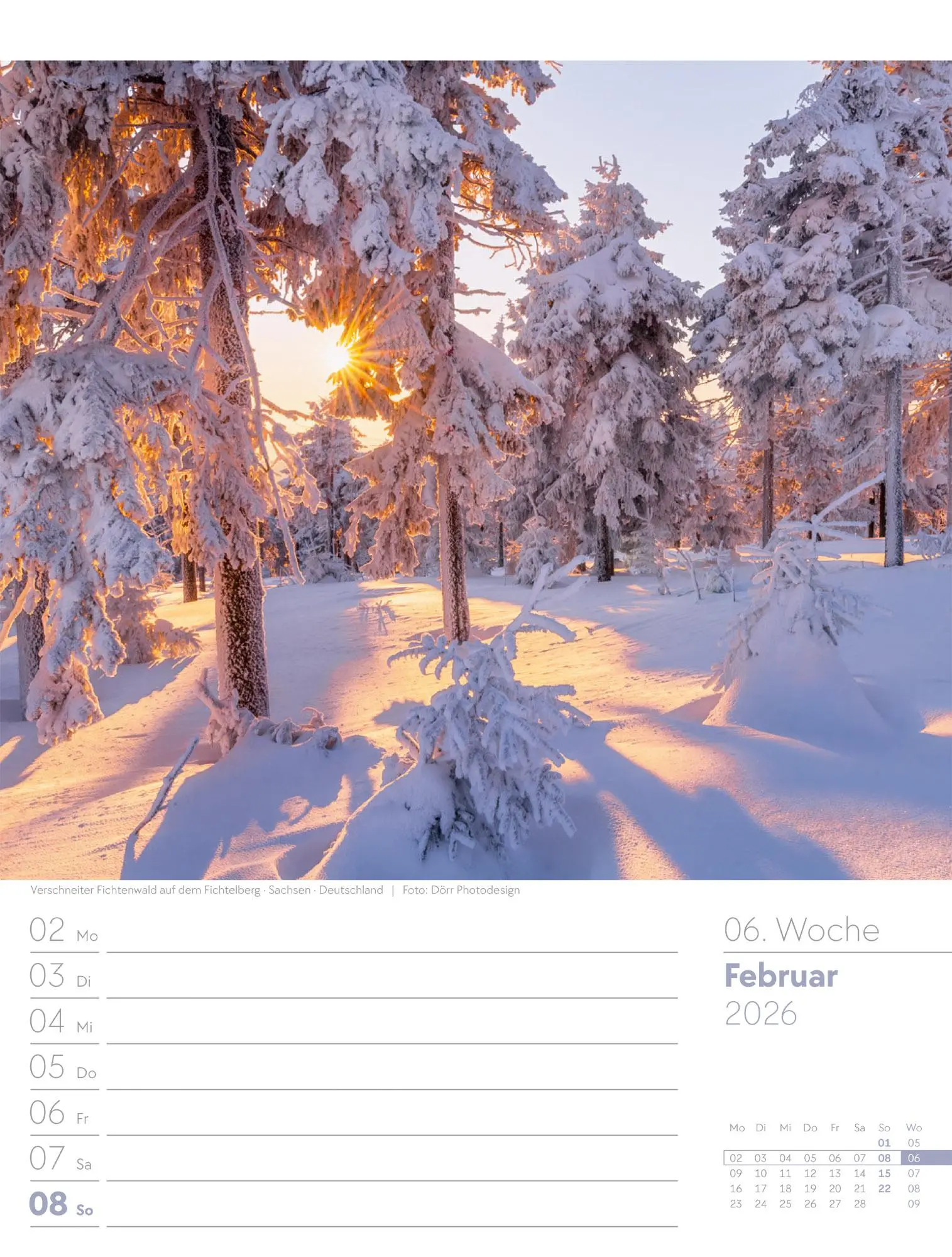 Bild: 9783838426976 | Unser Wald - Wochenplaner Kalender 2026 | Ackermann Kunstverlag GmbH