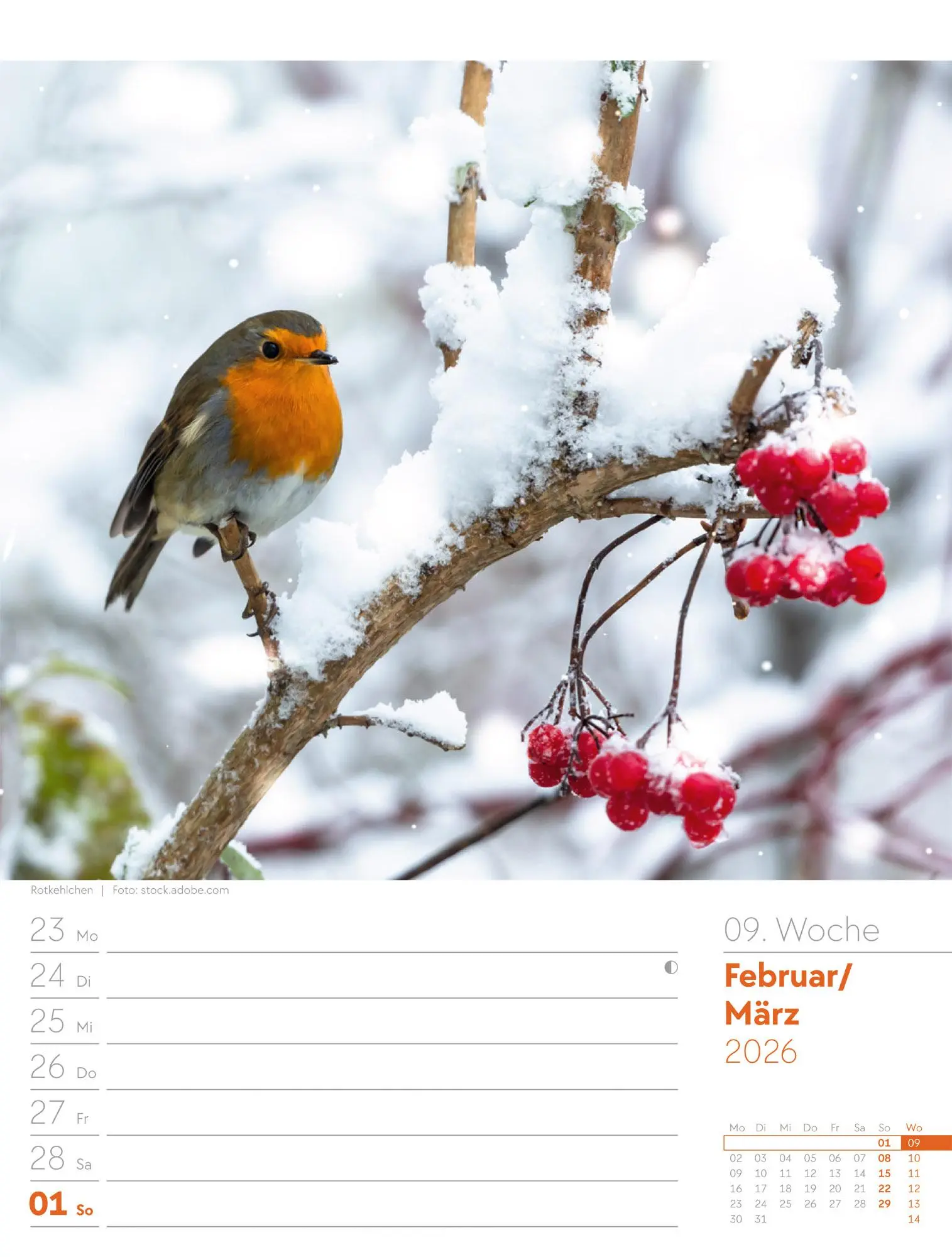 Bild: 9783838426976 | Unser Wald - Wochenplaner Kalender 2026 | Ackermann Kunstverlag GmbH