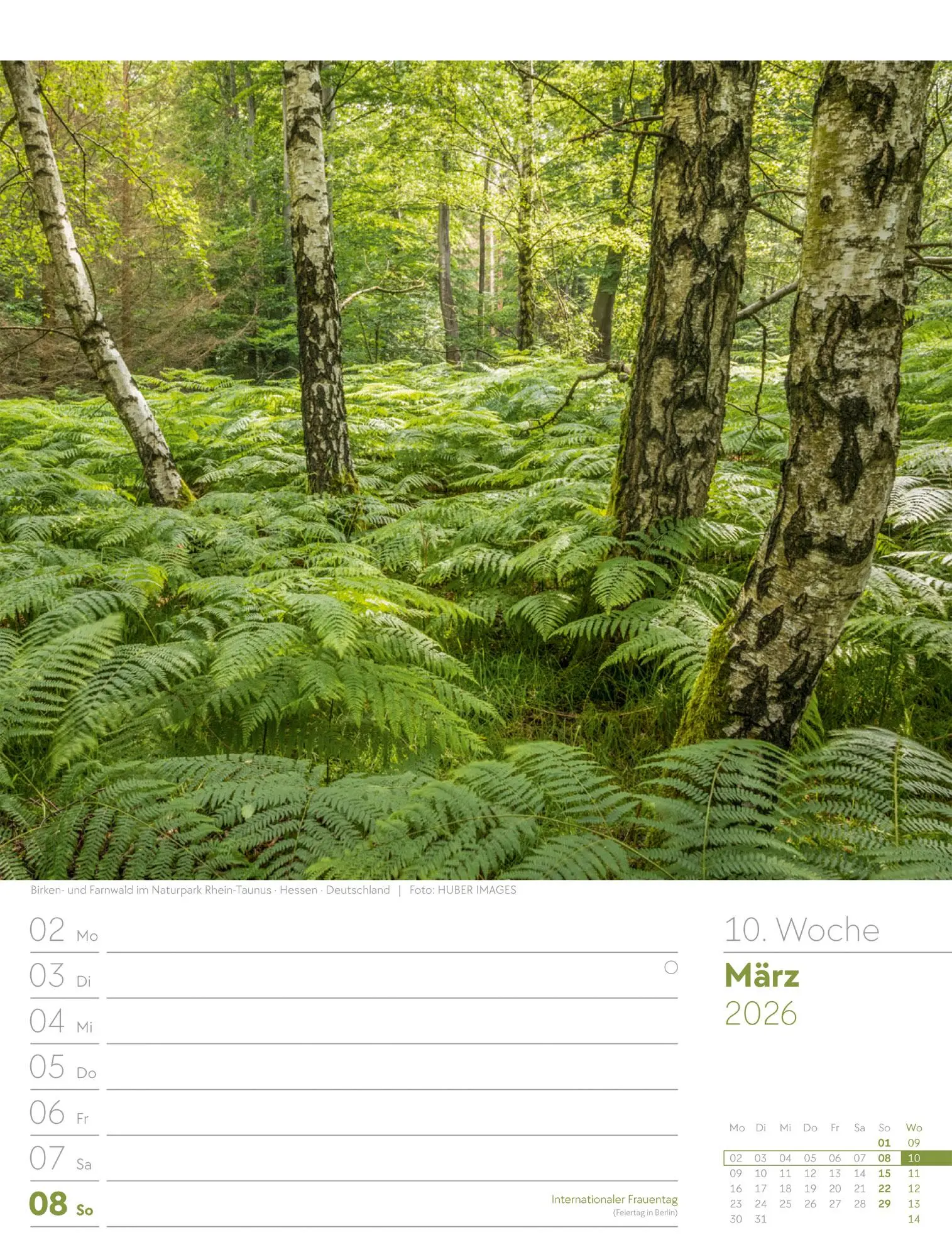 Bild: 9783838426976 | Unser Wald - Wochenplaner Kalender 2026 | Ackermann Kunstverlag GmbH