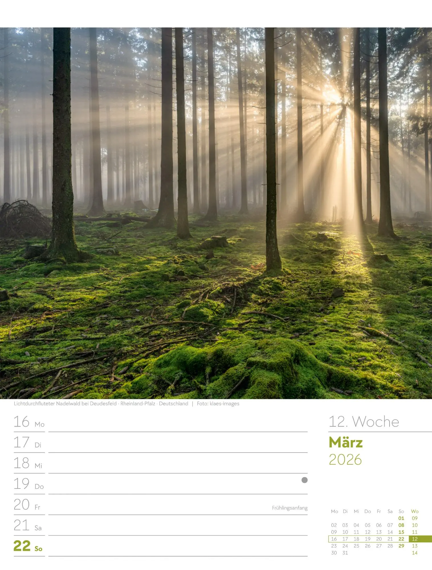 Bild: 9783838426976 | Unser Wald - Wochenplaner Kalender 2026 | Ackermann Kunstverlag GmbH