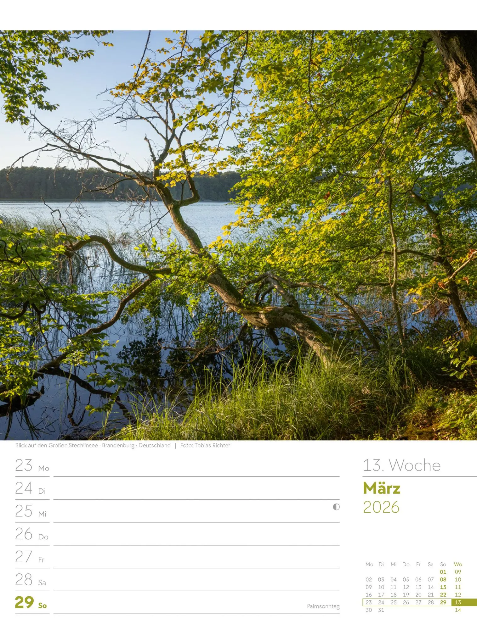 Bild: 9783838426976 | Unser Wald - Wochenplaner Kalender 2026 | Ackermann Kunstverlag GmbH