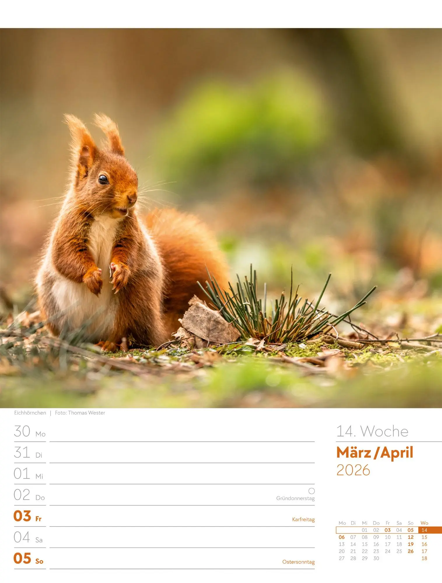 Bild: 9783838426976 | Unser Wald - Wochenplaner Kalender 2026 | Ackermann Kunstverlag GmbH