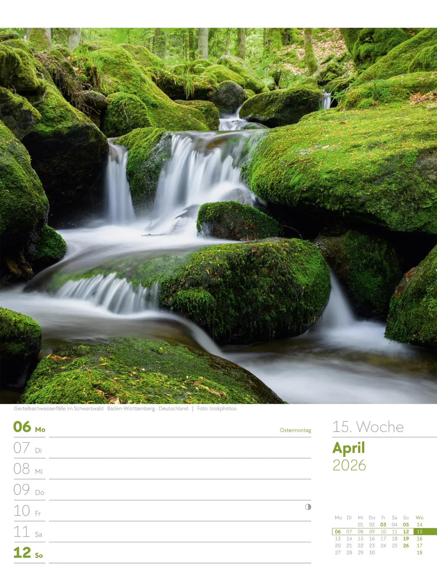 Bild: 9783838426976 | Unser Wald - Wochenplaner Kalender 2026 | Ackermann Kunstverlag GmbH