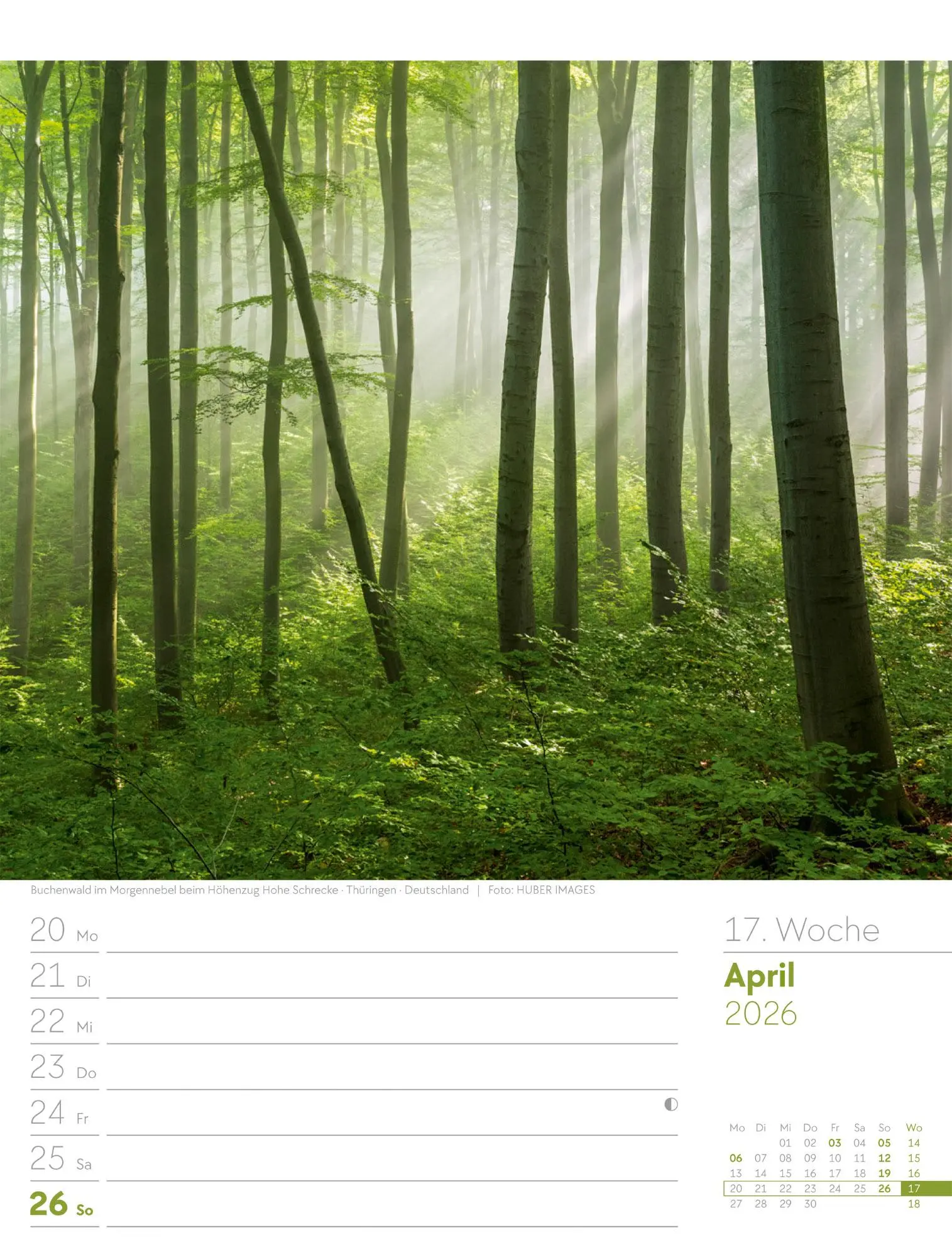 Bild: 9783838426976 | Unser Wald - Wochenplaner Kalender 2026 | Ackermann Kunstverlag GmbH