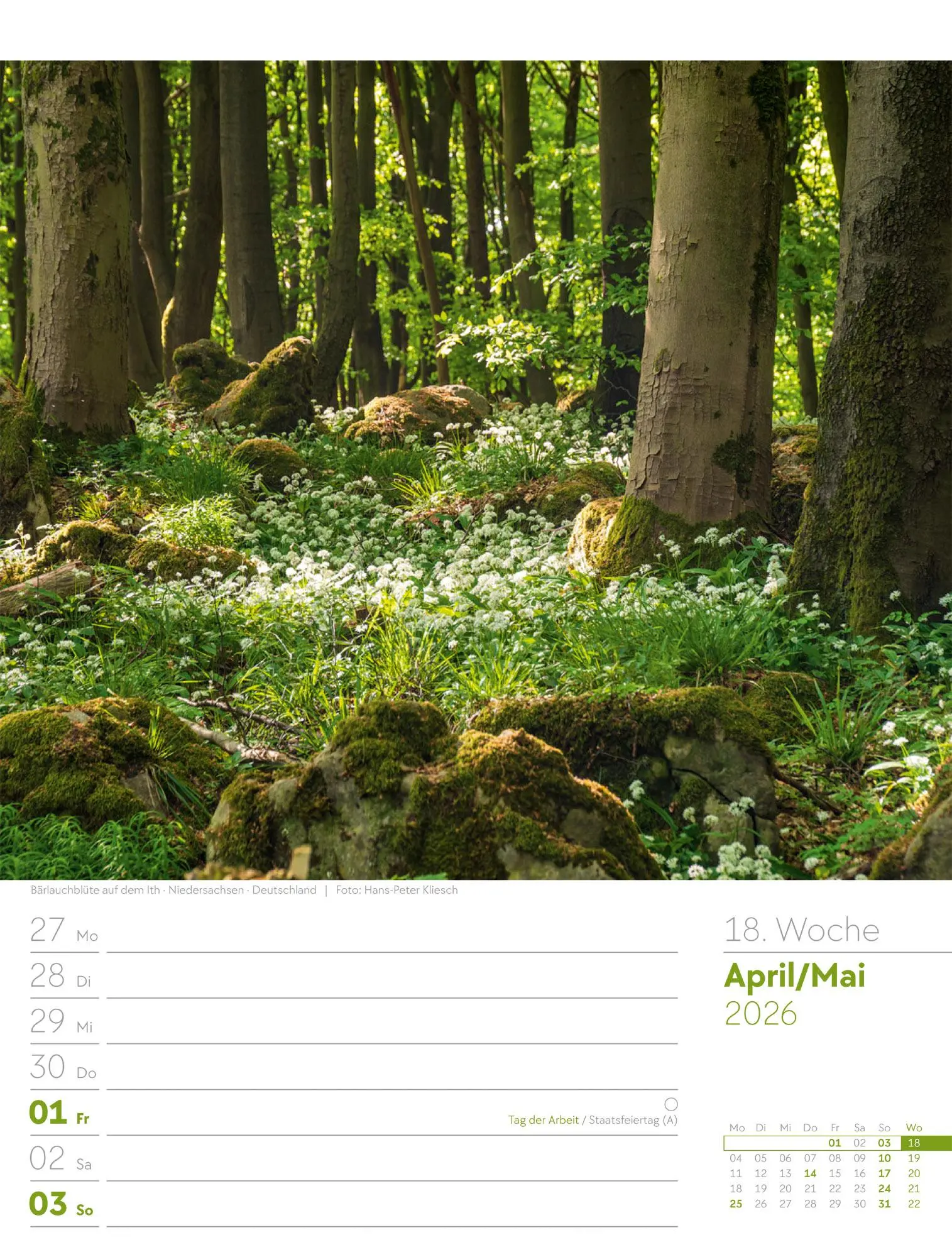 Bild: 9783838426976 | Unser Wald - Wochenplaner Kalender 2026 | Ackermann Kunstverlag GmbH