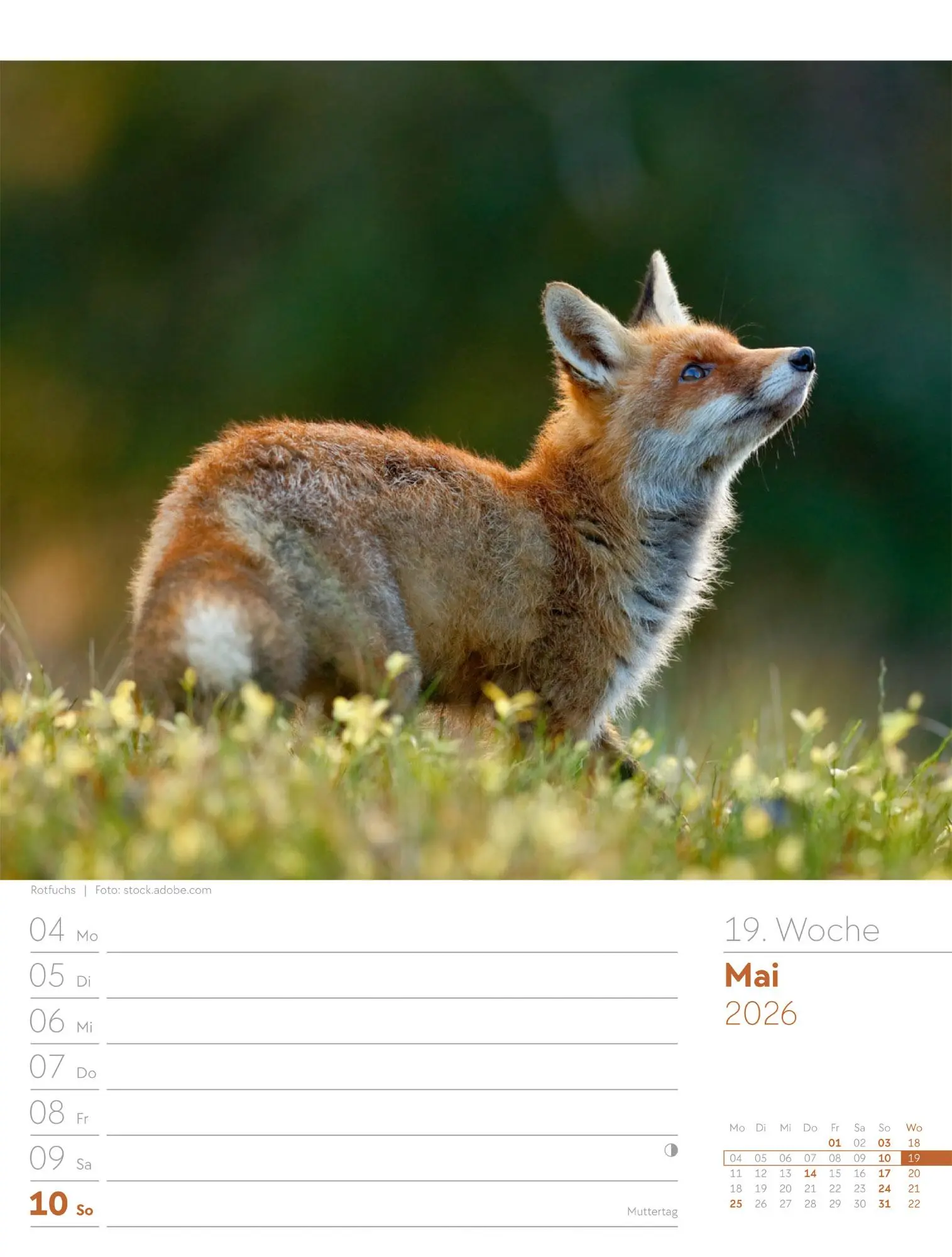 Bild: 9783838426976 | Unser Wald - Wochenplaner Kalender 2026 | Ackermann Kunstverlag GmbH