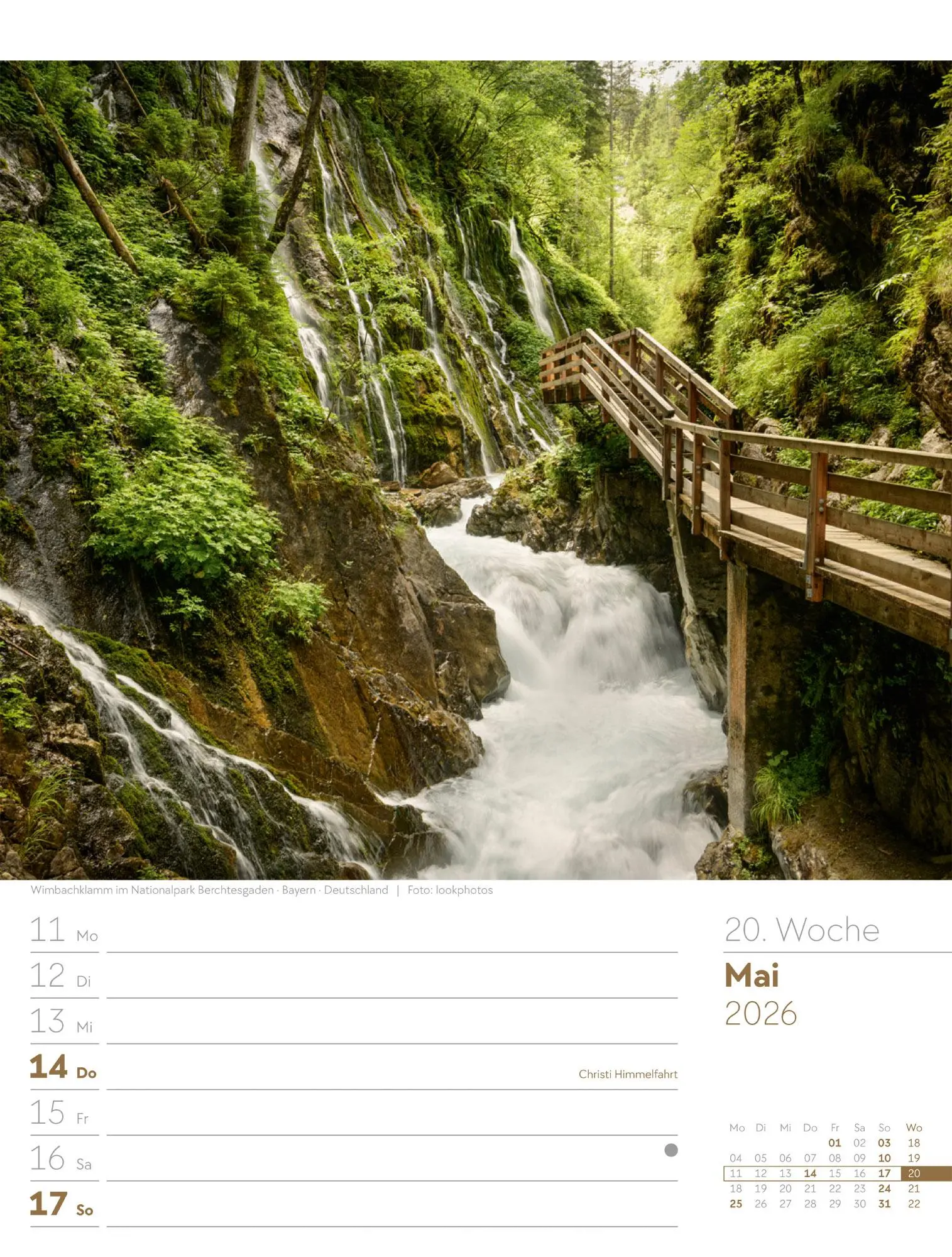 Bild: 9783838426976 | Unser Wald - Wochenplaner Kalender 2026 | Ackermann Kunstverlag GmbH