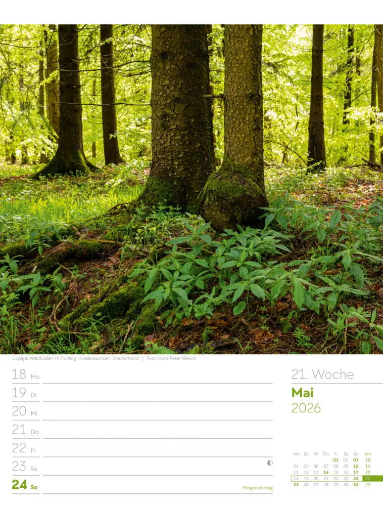 Bild: 9783838426976 | Unser Wald Wochenplaner Kalender 2026 | Ackermann Kunstverlag GmbH