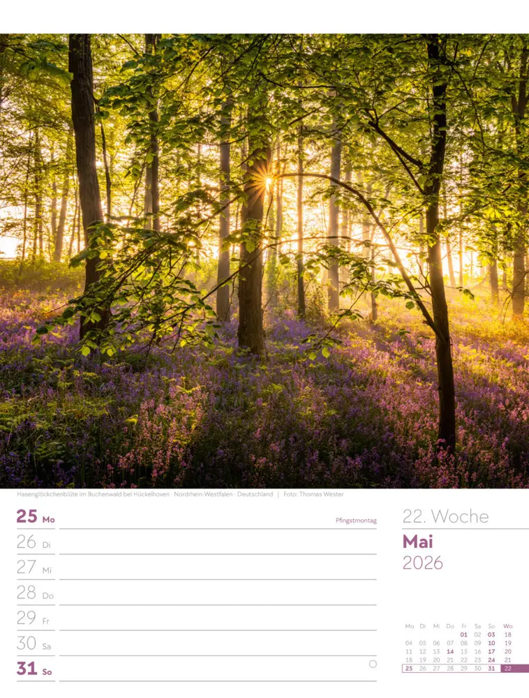 Bild: 9783838426976 | Unser Wald Wochenplaner Kalender 2026 | Ackermann Kunstverlag GmbH