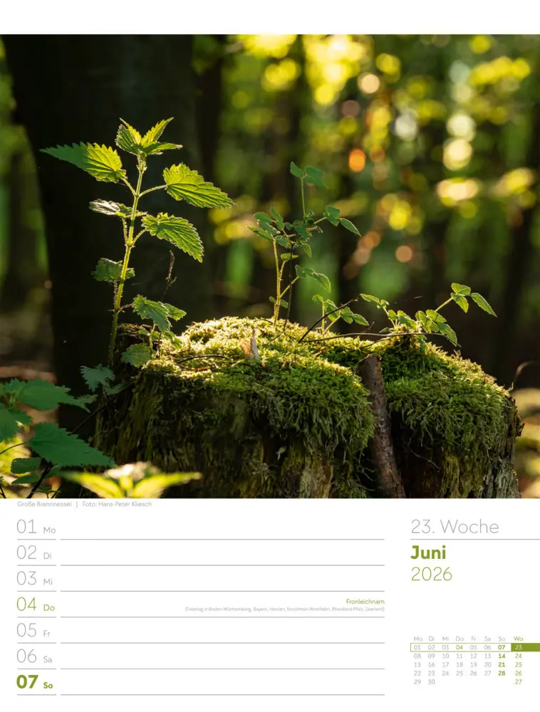 Bild: 9783838426976 | Unser Wald Wochenplaner Kalender 2026 | Ackermann Kunstverlag GmbH