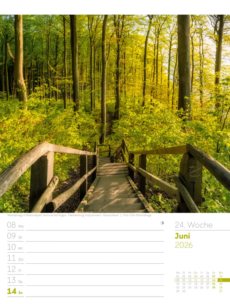 Bild: 9783838426976 | Unser Wald Wochenplaner Kalender 2026 | Ackermann Kunstverlag GmbH