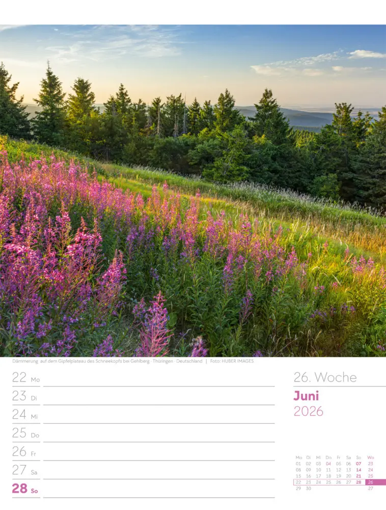 Bild: 9783838426976 | Unser Wald Wochenplaner Kalender 2026 | Ackermann Kunstverlag GmbH