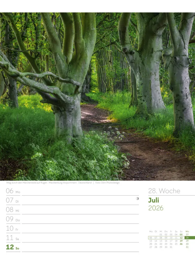 Bild: 9783838426976 | Unser Wald Wochenplaner Kalender 2026 | Ackermann Kunstverlag GmbH