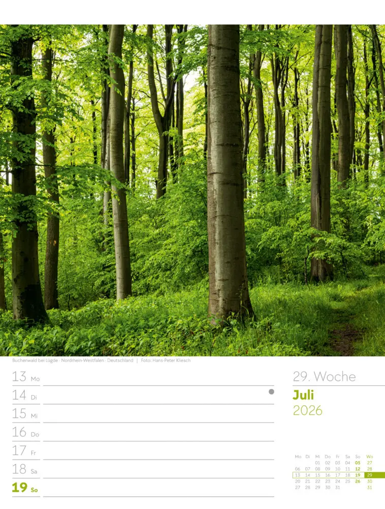 Bild: 9783838426976 | Unser Wald Wochenplaner Kalender 2026 | Ackermann Kunstverlag GmbH